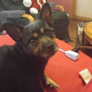 Meet your Posher, Gina